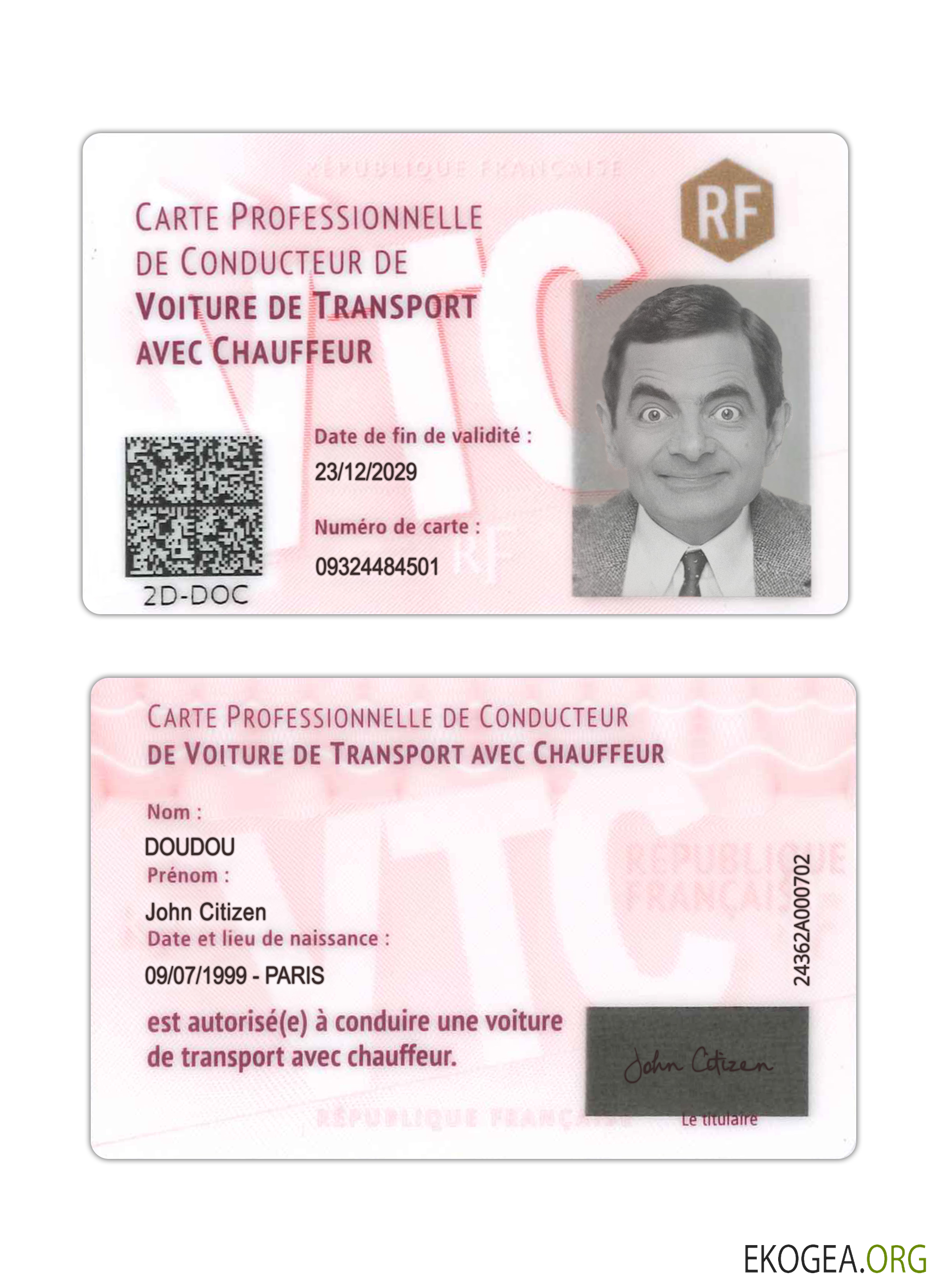 France professional driver's card